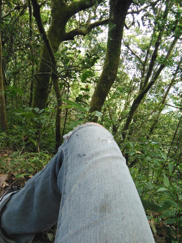 A shot of used jeans